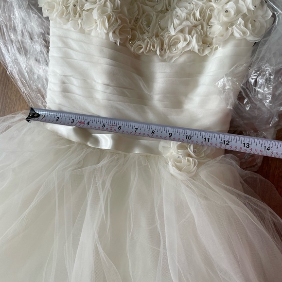 Mori Lee Wedding Dress - Picture 15 of 16